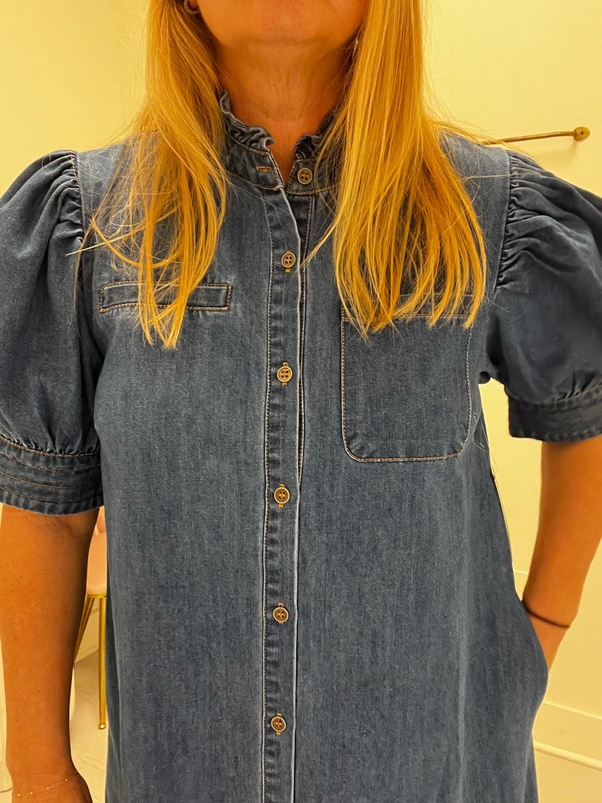 Daniella Denim Dress